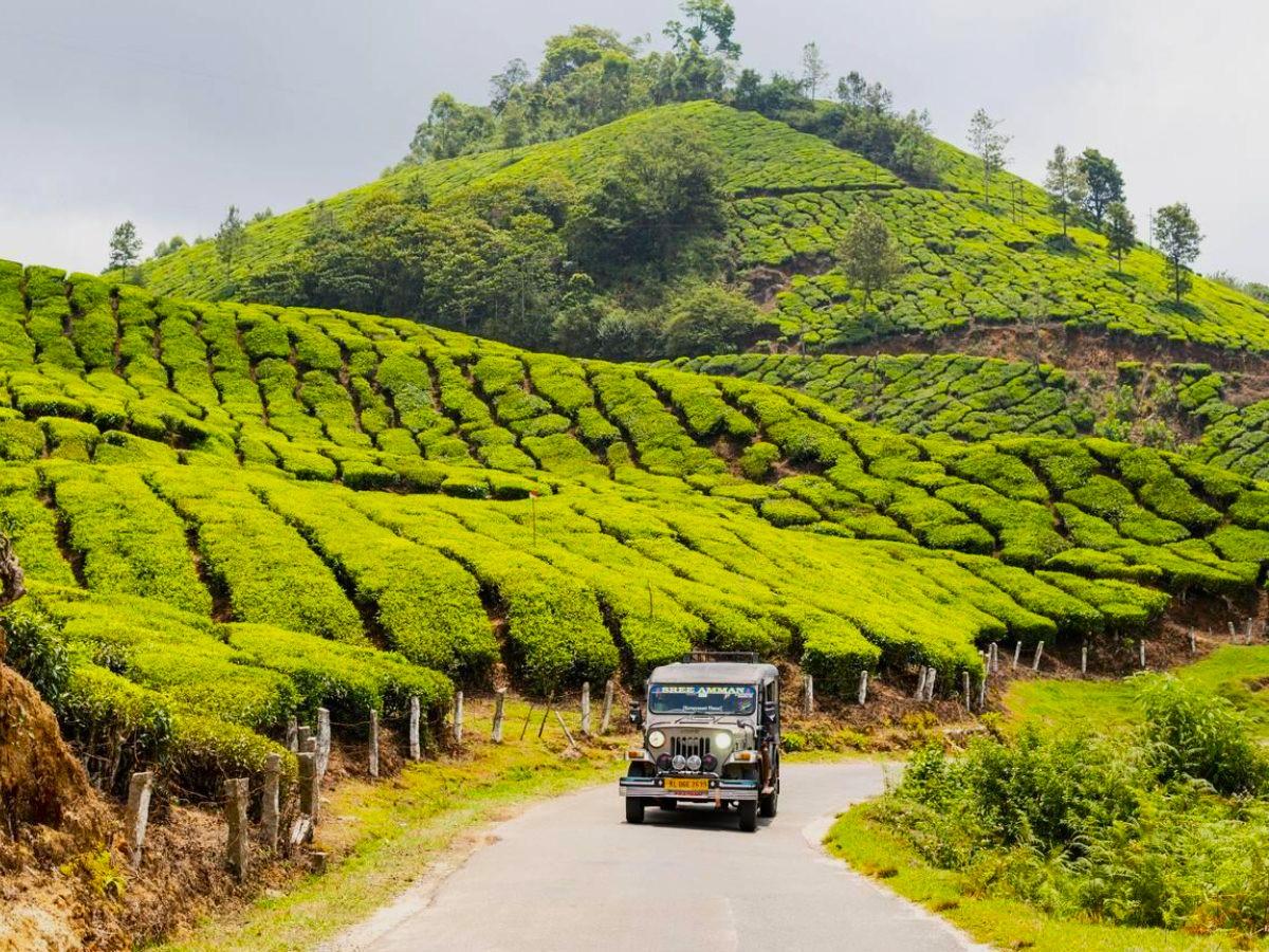 6 dreamy places to visit near Vagamon for your next day trip!
